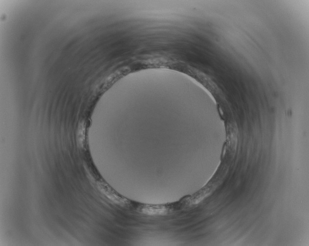 X0000086010767200704201856