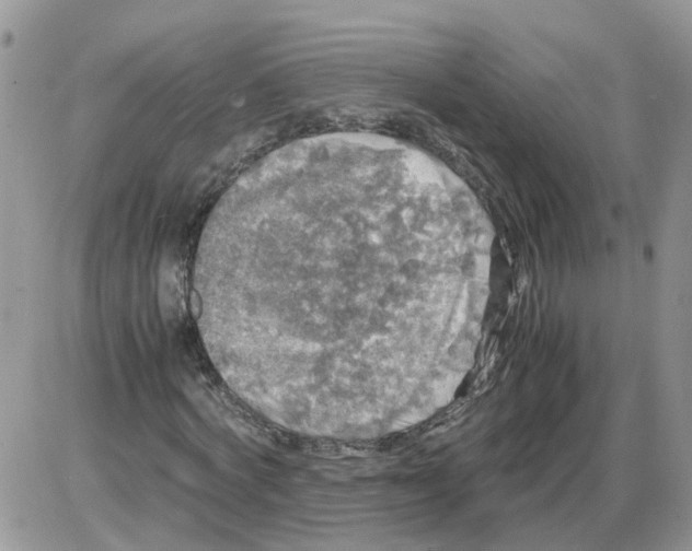 X0000086010772200704201855