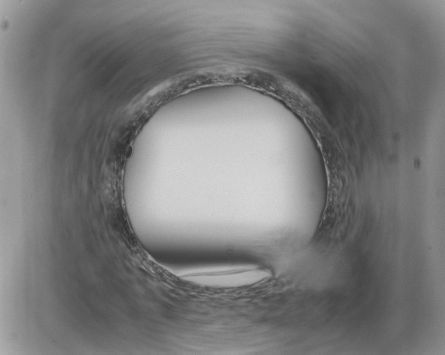 X0000086010773200704201855