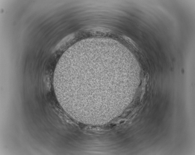 X0000086010774200704201855