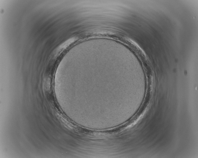 X0000086010777200704201855