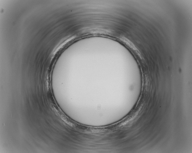 X0000086010782200704201855