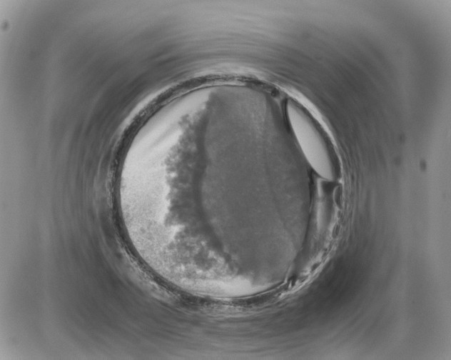 X0000086010783200704201855