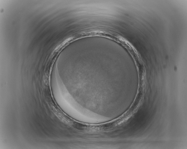 X0000086010785200704201855