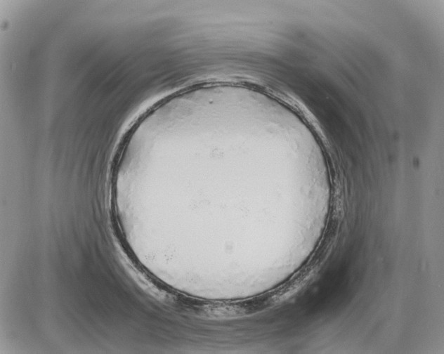 X0000086010795200704201855