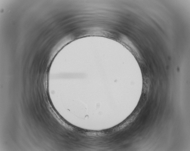 X0000086010804200704201855