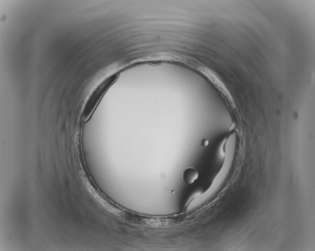X0000086010805200704201855