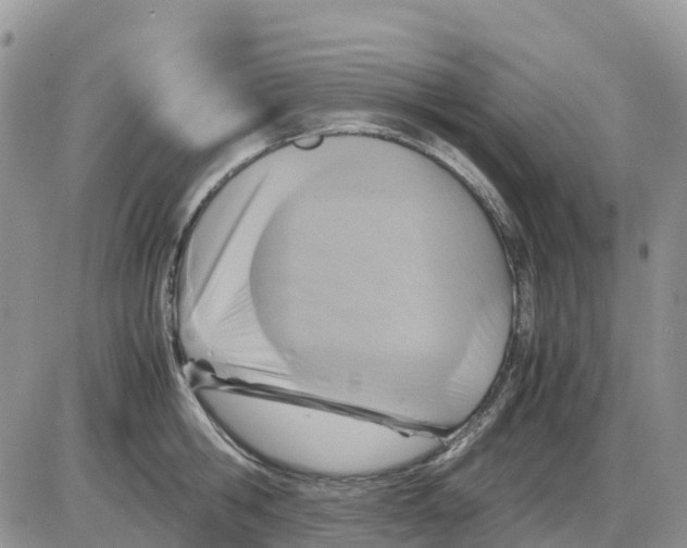X0000086010806200704201855