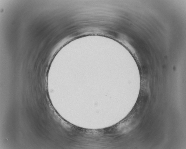 X0000086010807200704201855