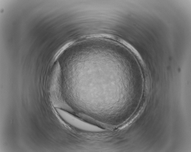 X0000086010809200704201855