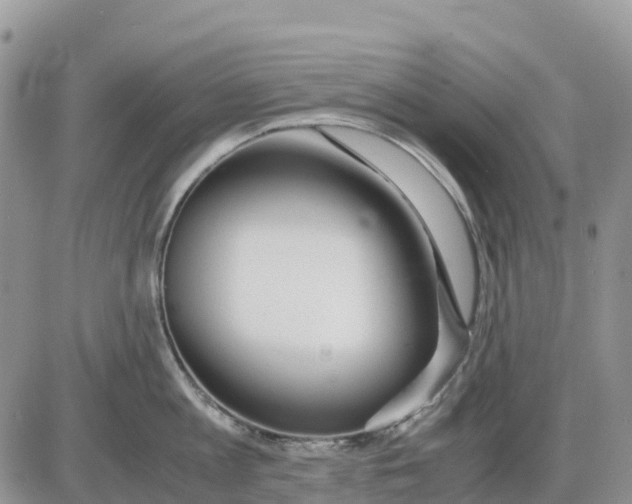 X0000086010813200704201855