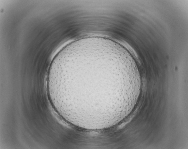 X0000086010814200704201855