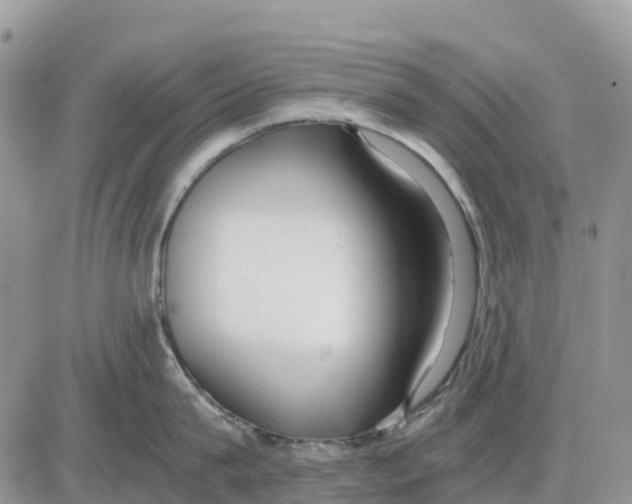 X0000086010815200704201854