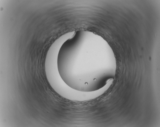 X0000086010818200704201854