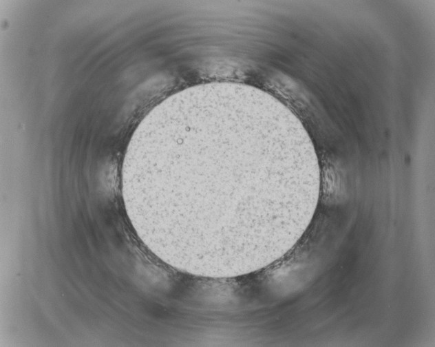 X0000086010820200704201854