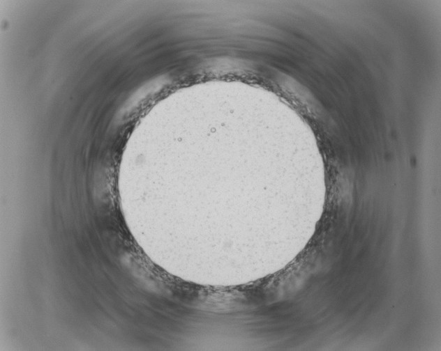 X0000086010824200704201854