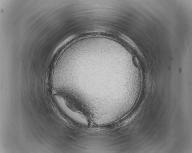 X0000086010826200704201854