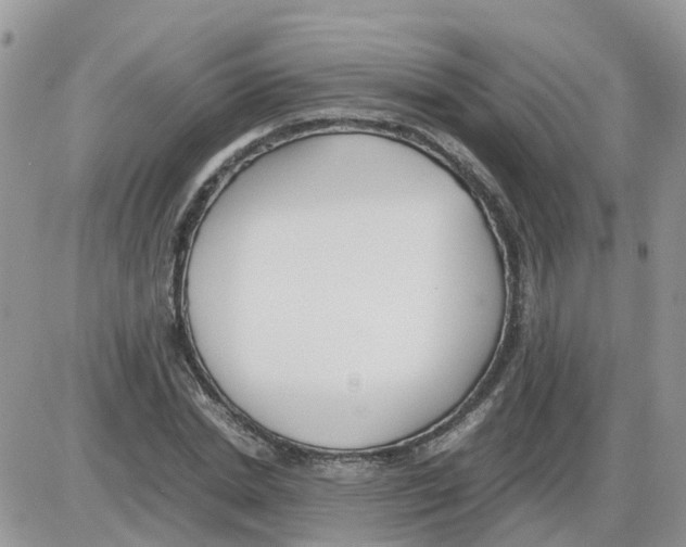 X0000086010830200704201854