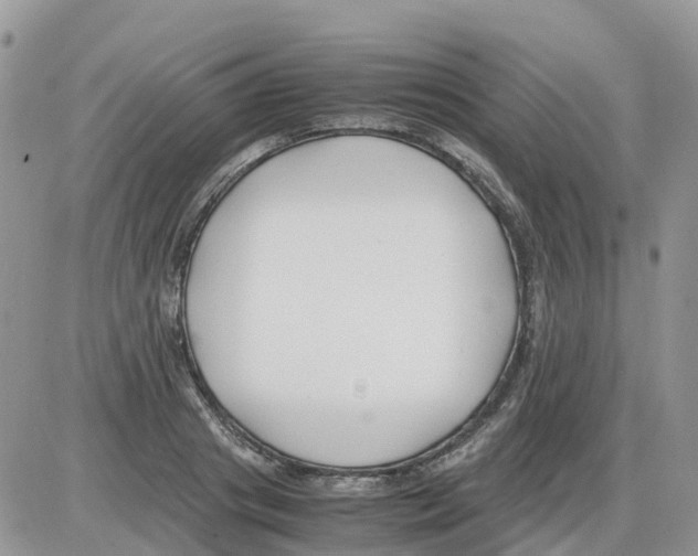 X0000086010841200704201854