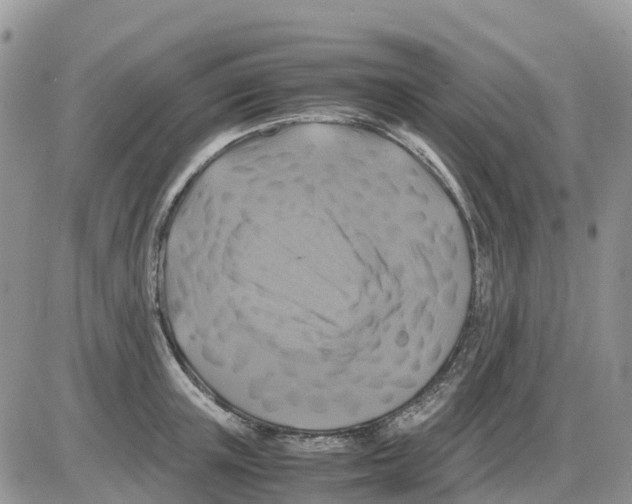 X0000086010851200704201854