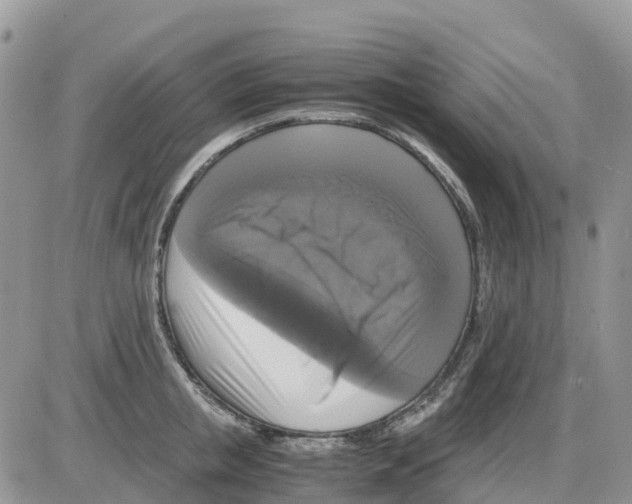 X0000086010853200704201854