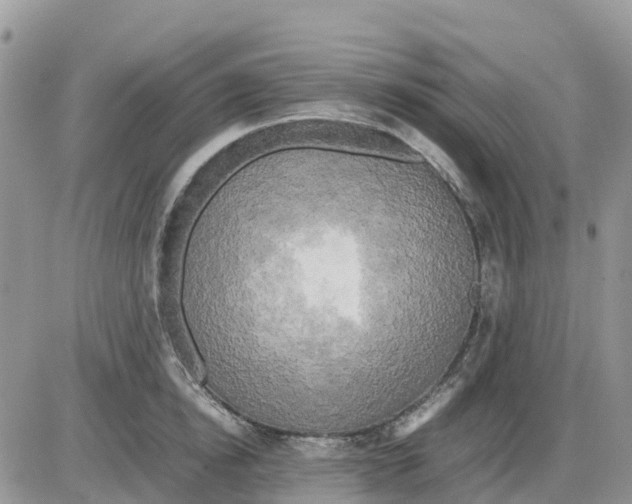 X0000086010854200704201854