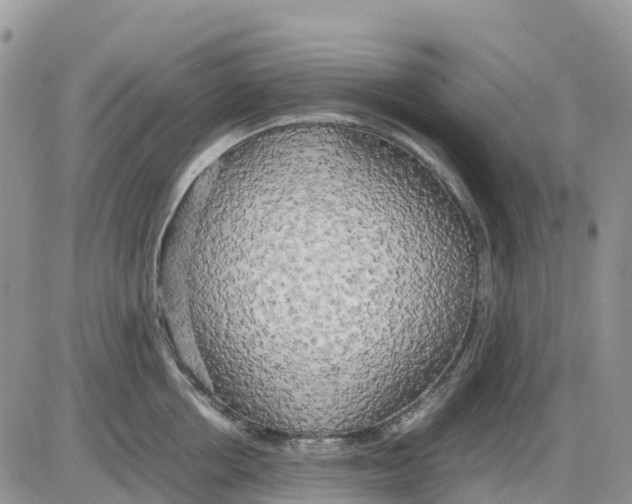 X0000086010858200704201854