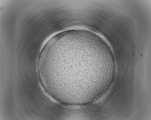 X0000086010862200704201854