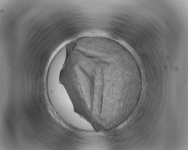 X0000086010864200704201854