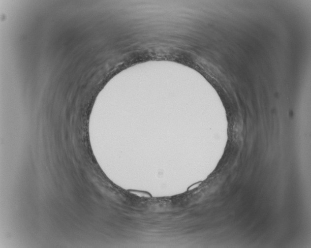 X0000086010865200704201854
