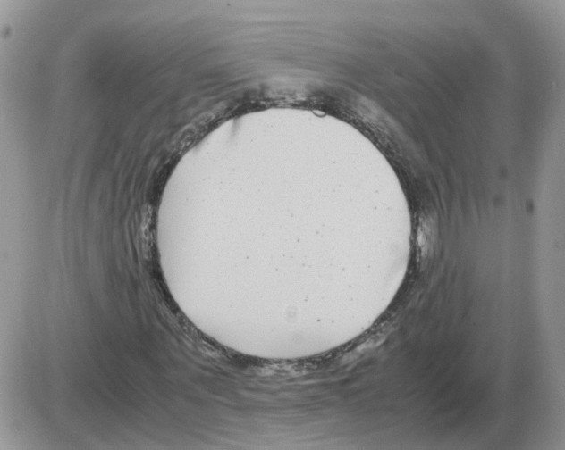 X0000086010867200704201854