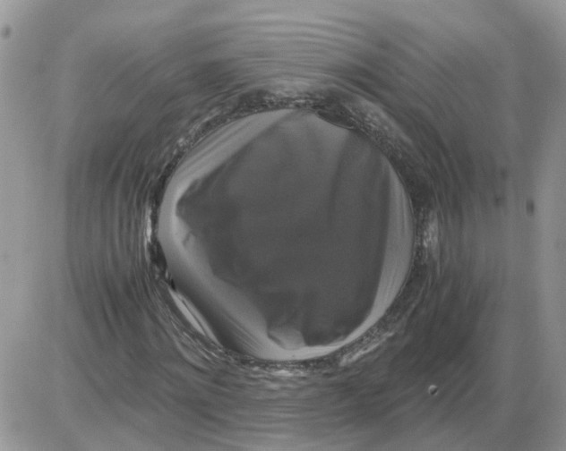X0000086010868200704201854