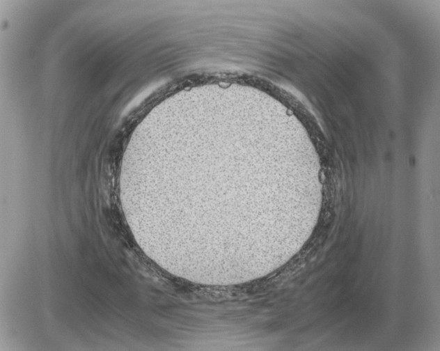 X0000086010871200704201854