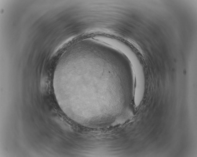 X0000086010872200704201854