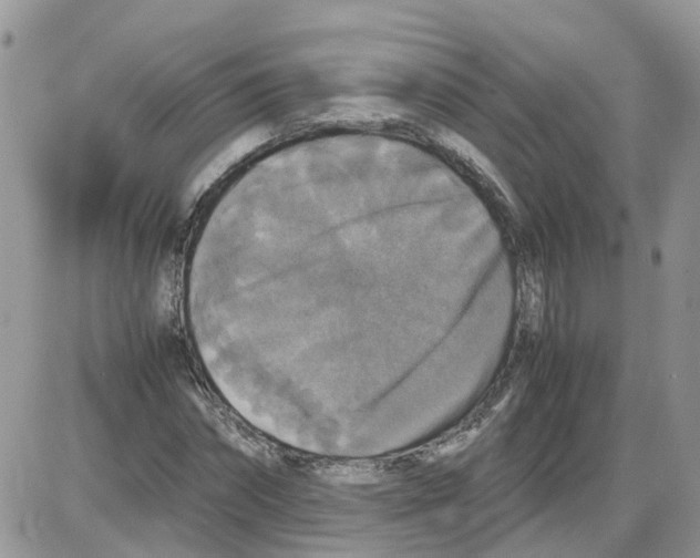 X0000086010874200704201854