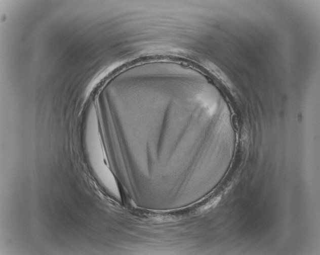 X0000086010877200704201853