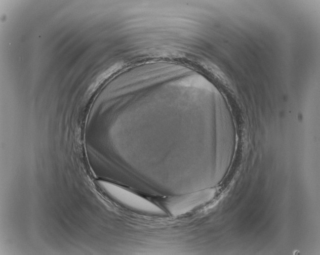 X0000086010881200704201853