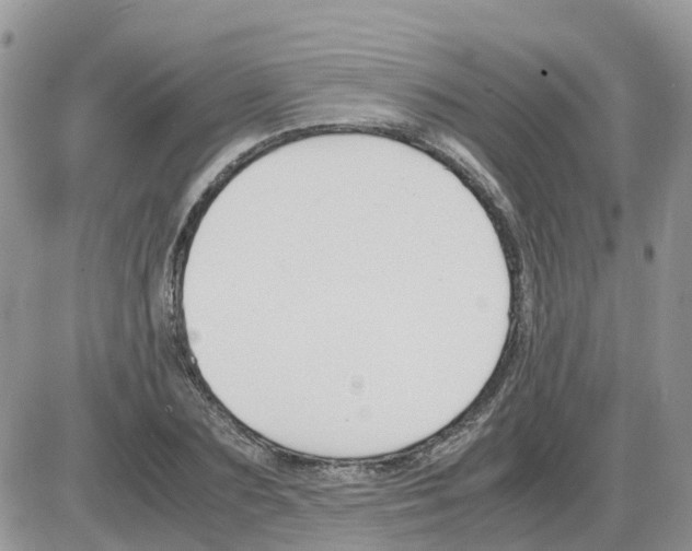 X0000086010883200704201853