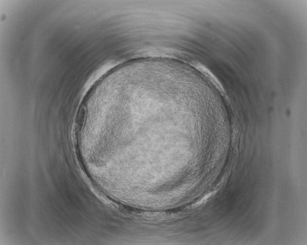 X0000086010893200704201853