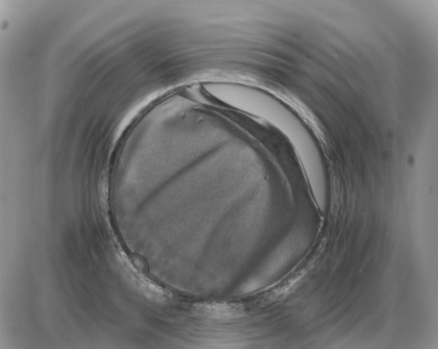X0000086010896200704201853