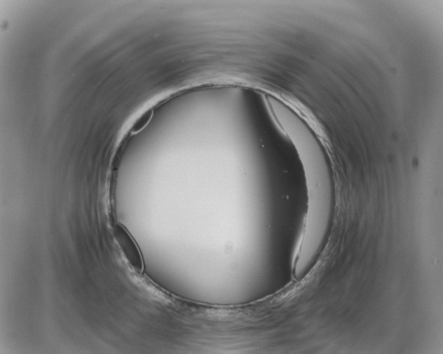 X0000086010904200704201853