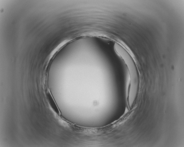 X0000086010909200704201853