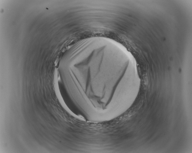 X0000086010916200704201852