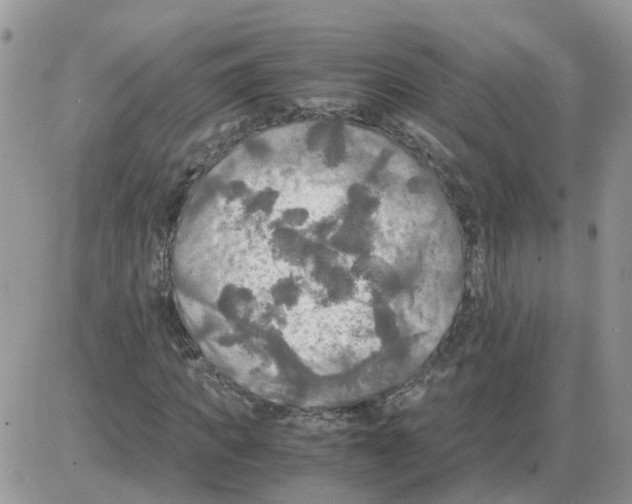X0000086010917200704201852