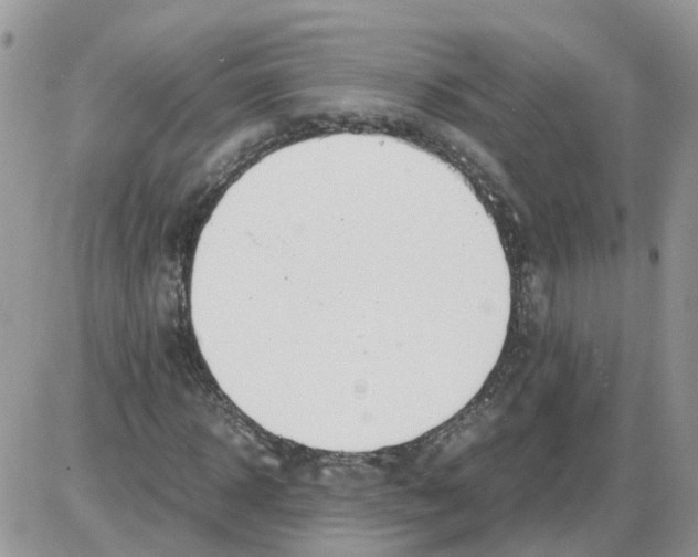 X0000086010918200704201852