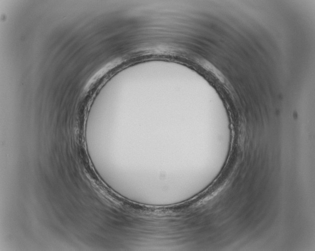 X0000086010922200704201852