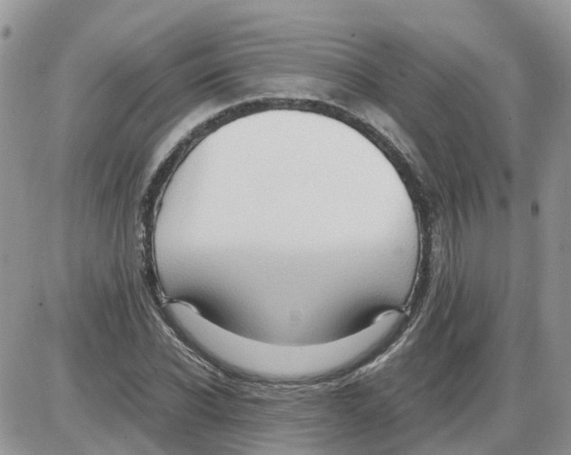 X0000086010926200704201852