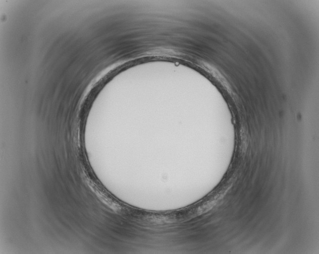 X0000086010931200704201852