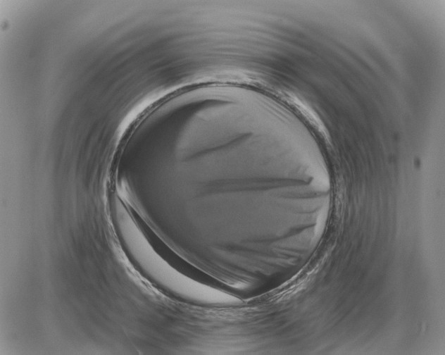 X0000086010944200704201853