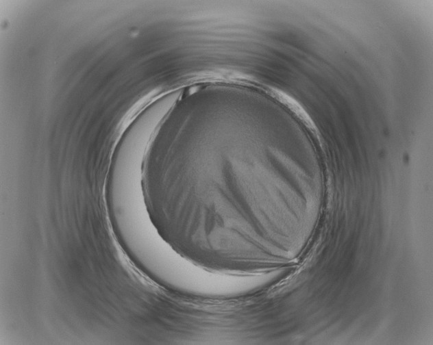 X0000086010946200704201853